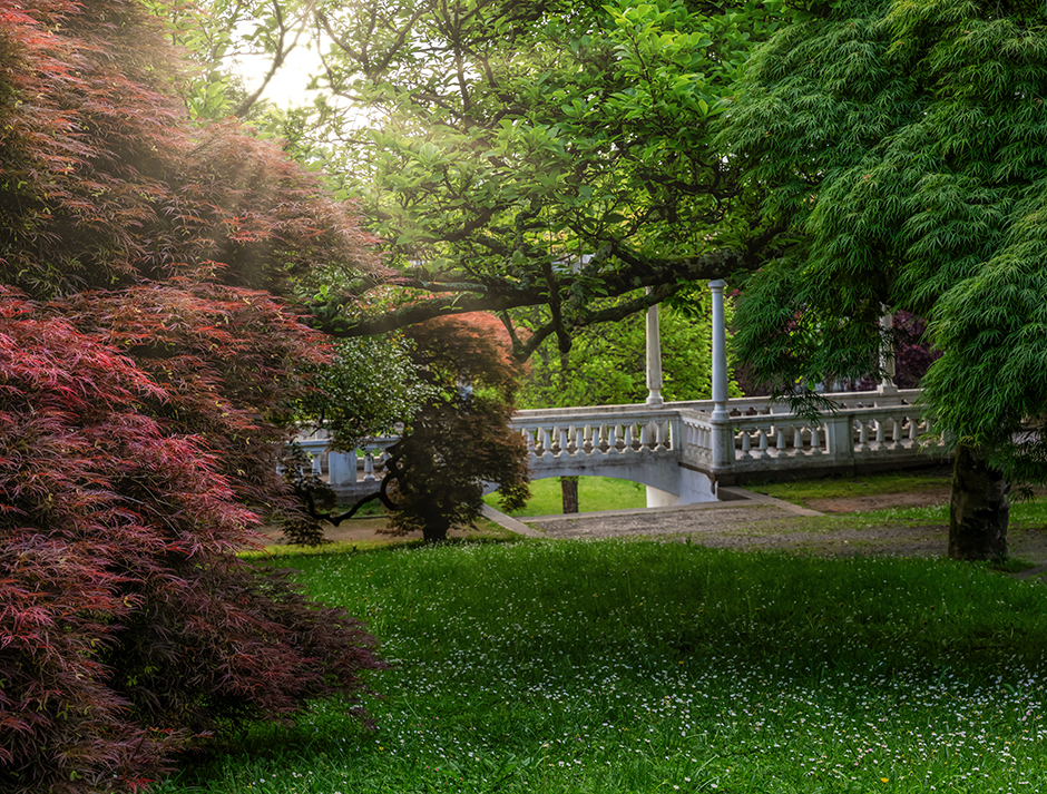 50 Tesouros do Património Identitário da Maia | 2025 - Maia, Pt - fotografia institucional | corporate photography